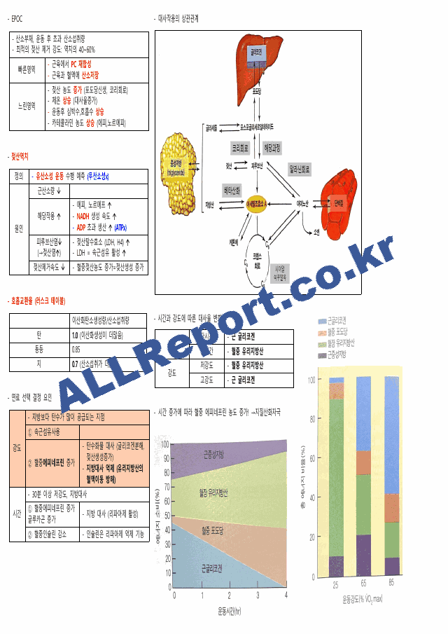 생리학 요약본(시험관련) 카셉운동사 (5 페이지)